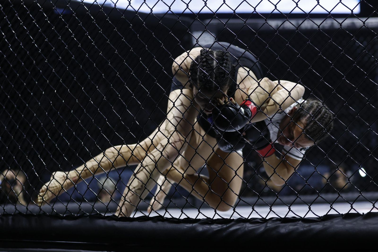 Artes marciales mixtas
