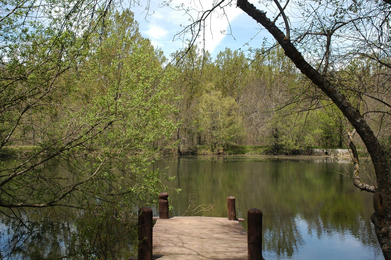 El Bosque de Finlandia, en Rascafría