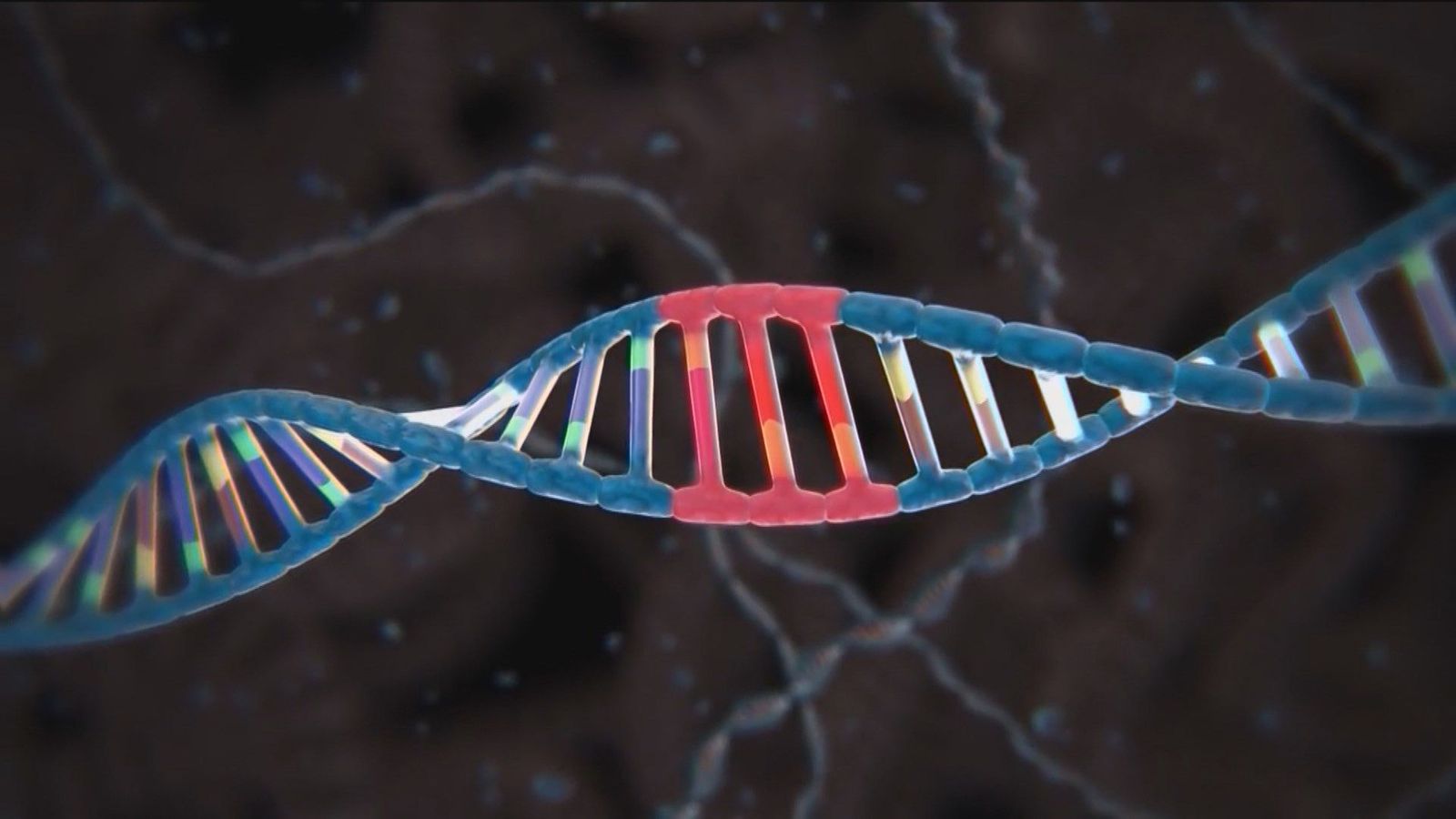 Resucitan los ancestros de la herramienta de edición genética Crispr de hace 2.600 millones de años