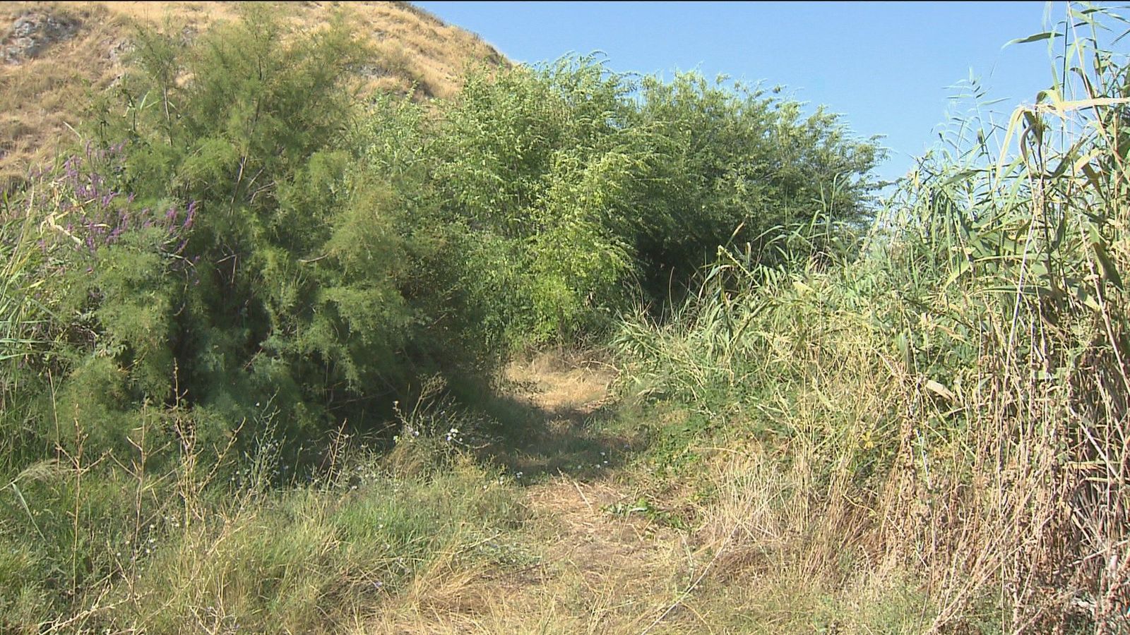 El Gobierno regional remodelará La Laguna de San Juan después del verano