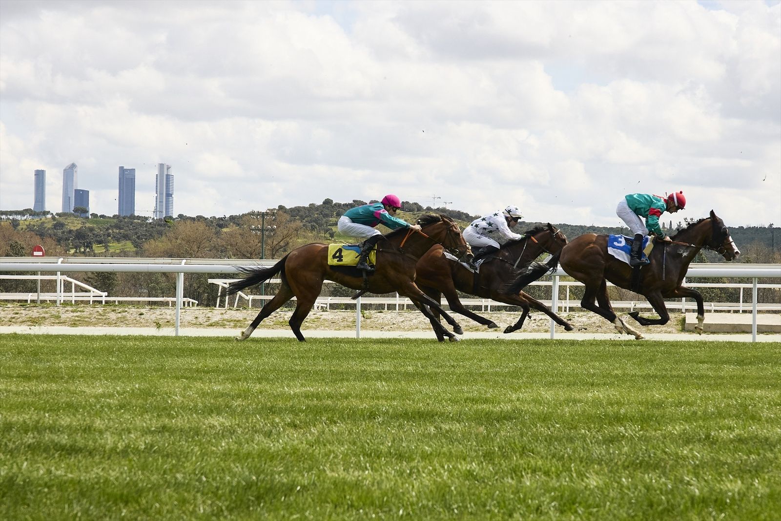 Carreras de caballos