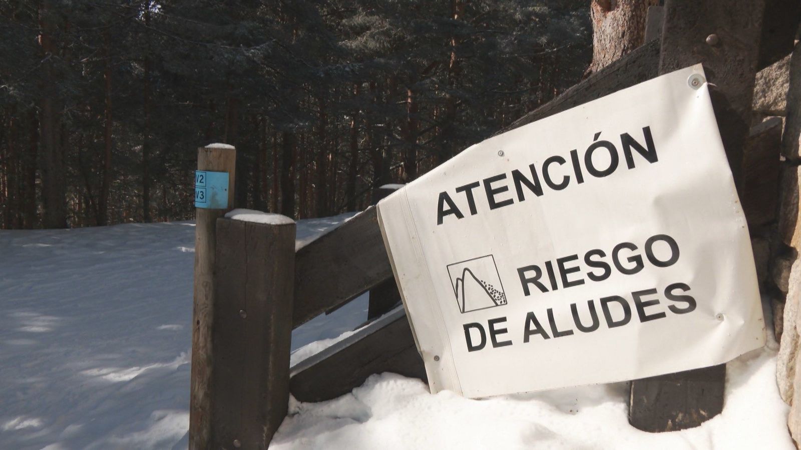 Conocemos cómo trabajan los agentes forestales de Puerto de Cotos durante las épocas de nieve