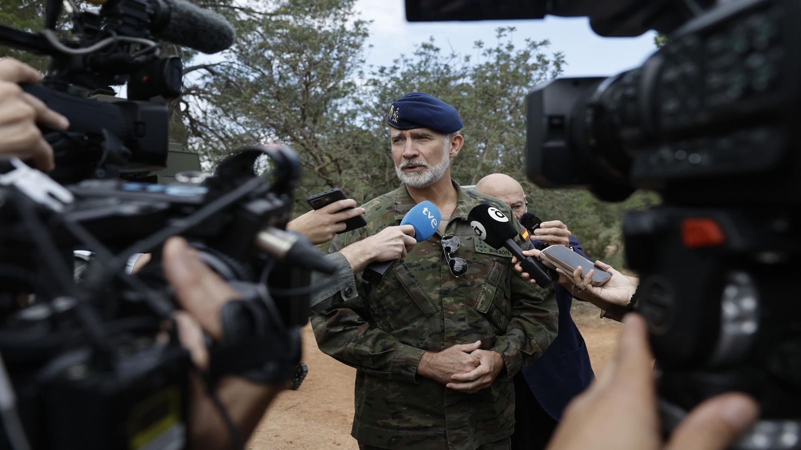 El rey Felipe VI