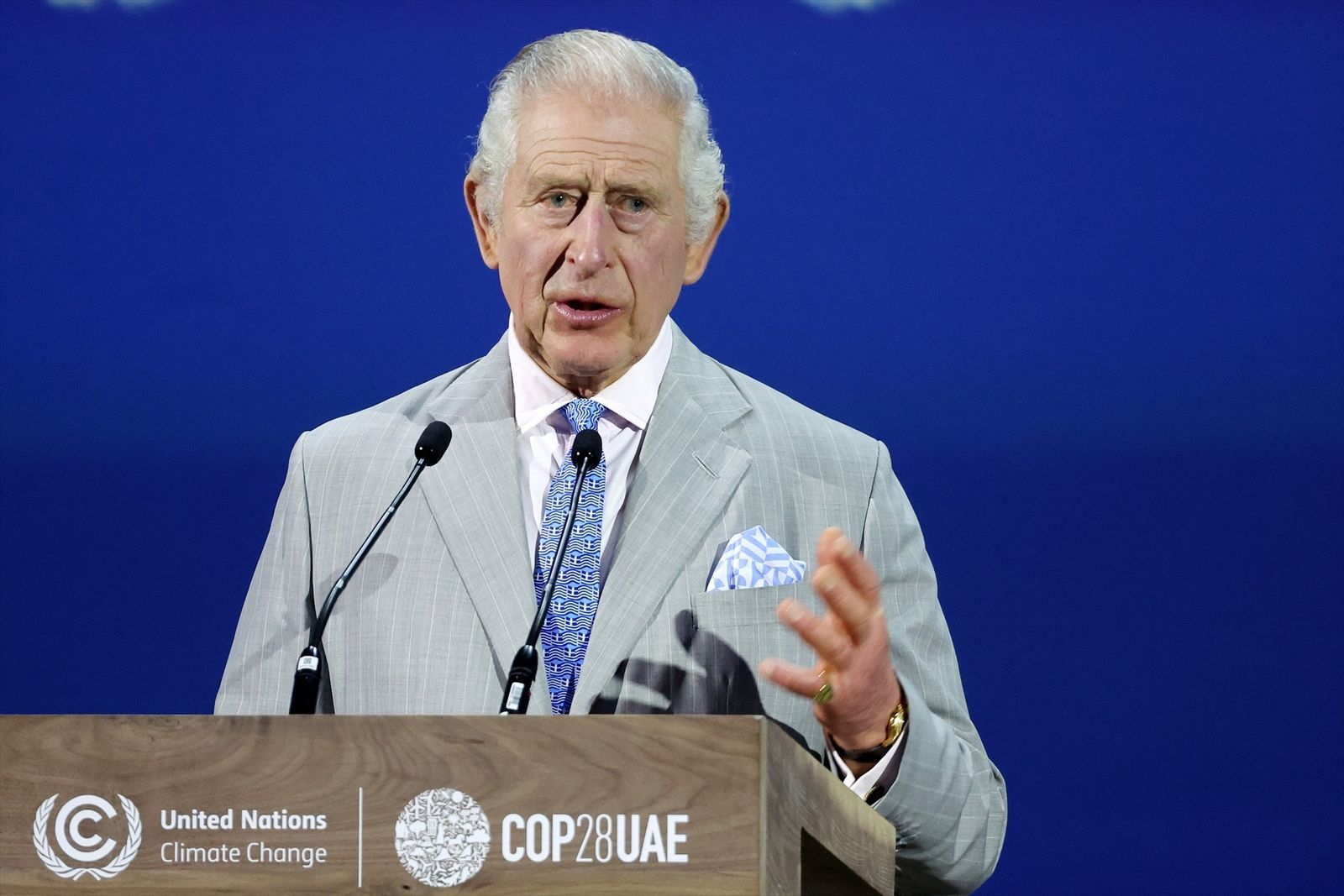 Carlos III en la COP28