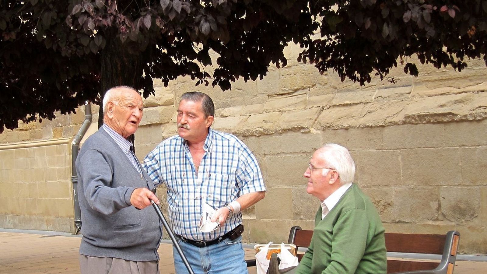 Jubilados conversan en un parque