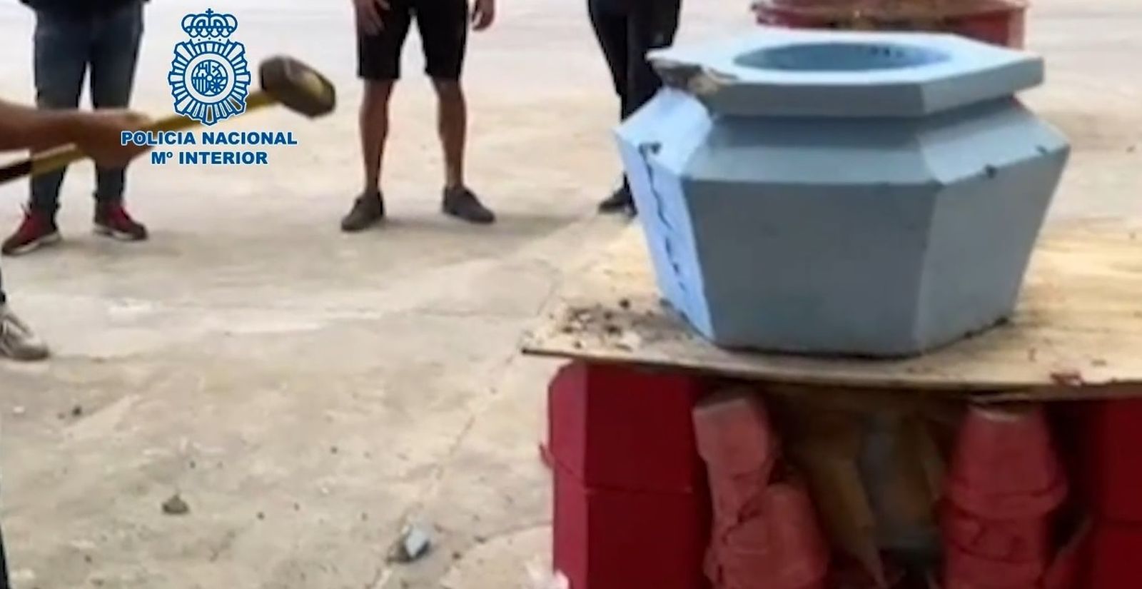 En maceteros, el insospechado sistema para trasladar cocaína en Madrid