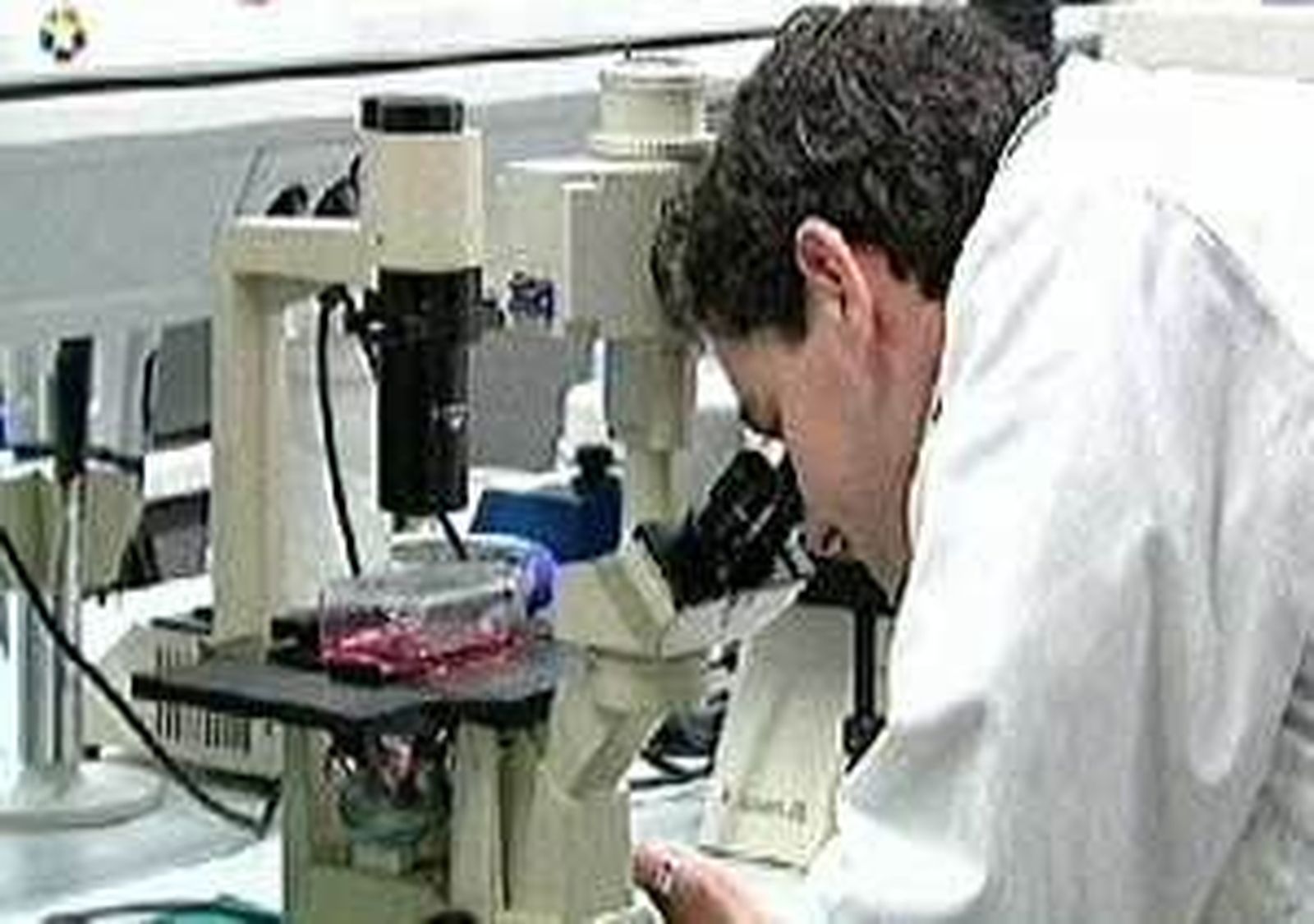Una "sala blanca" para la investigación de la recuperación del daño medular