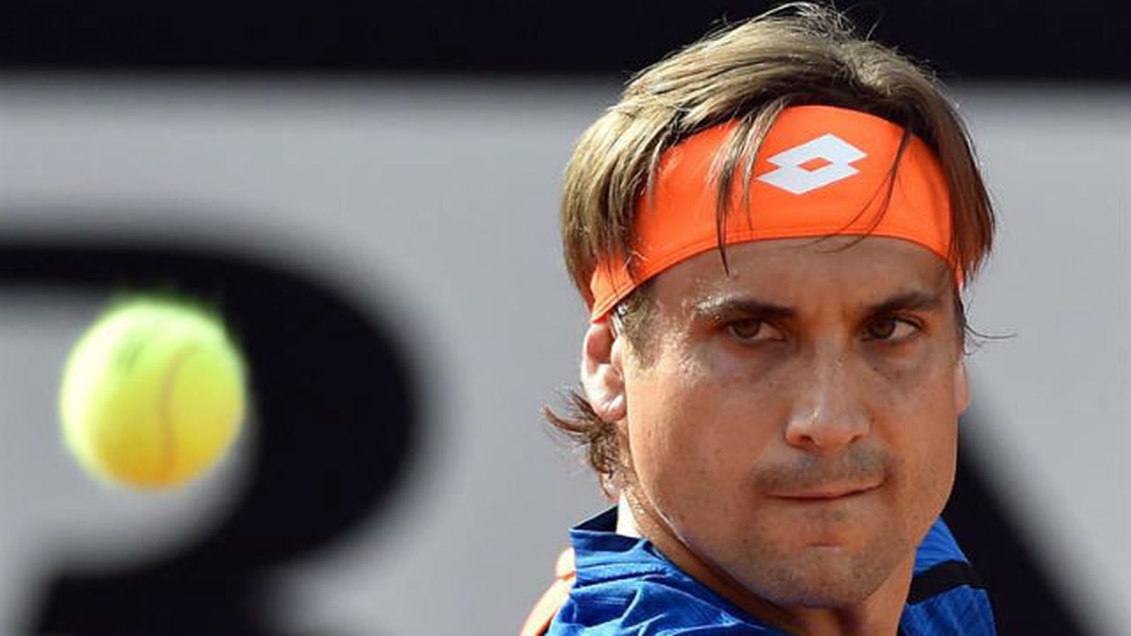 David Ferrer