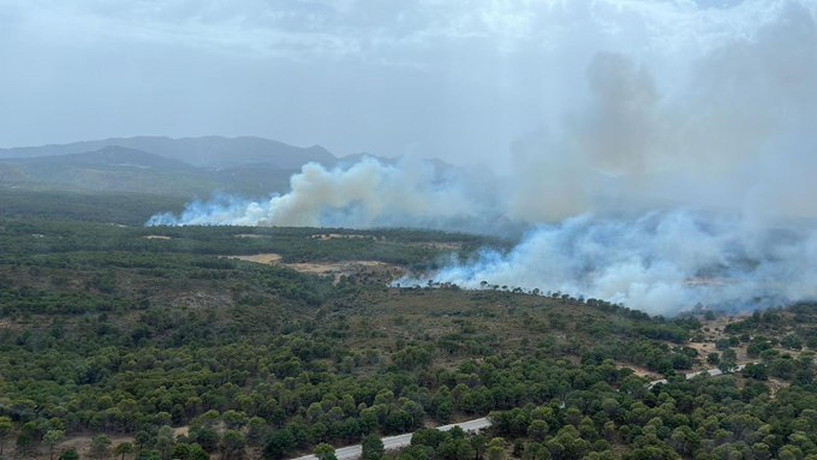 Declarado un fuego forestal en término de Albuñuelas