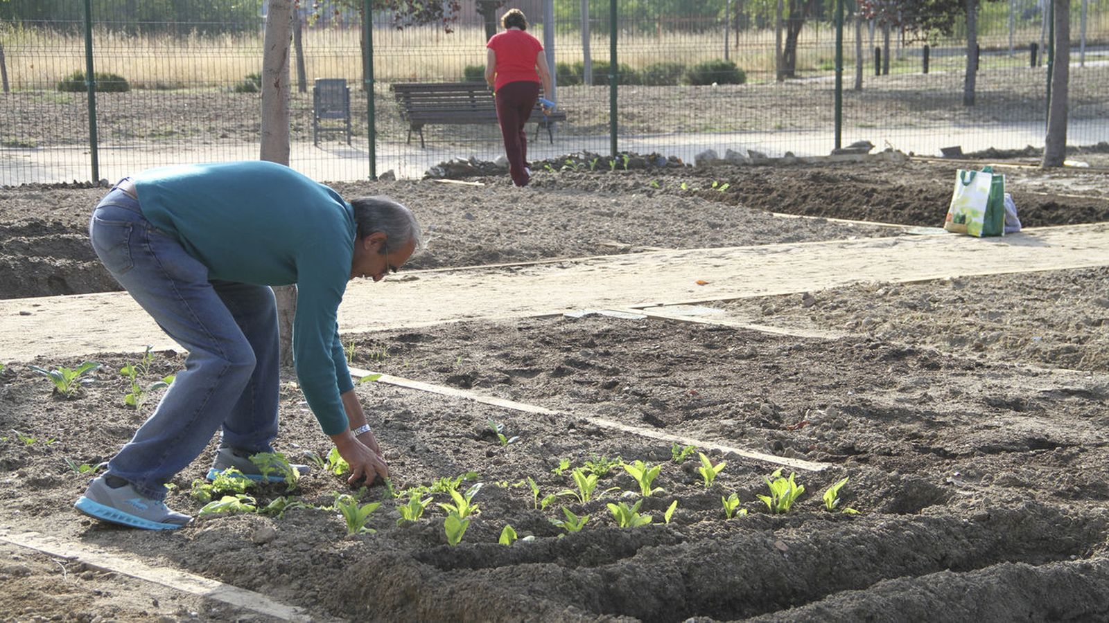 Huertos urbanos