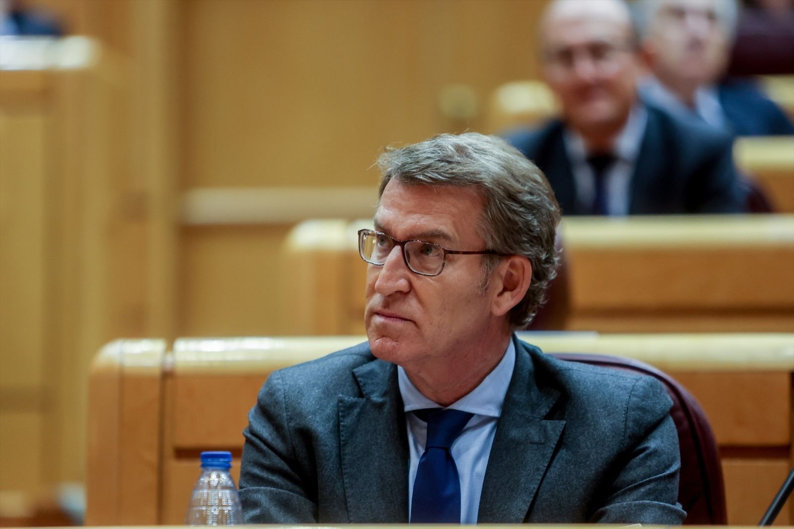 El presidente del PP, Alberto Núñez Feijóo en el Senado