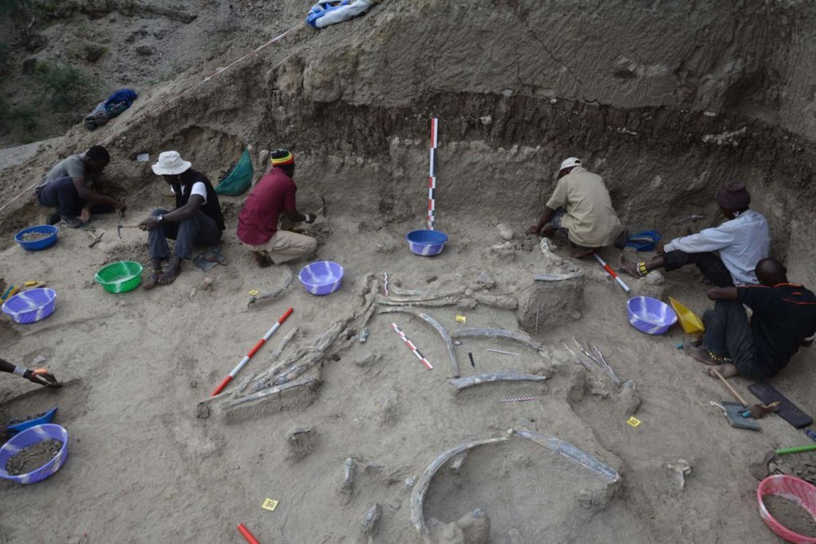 Excavación paleontológica en la garganta de Olduvai, en Tanzania