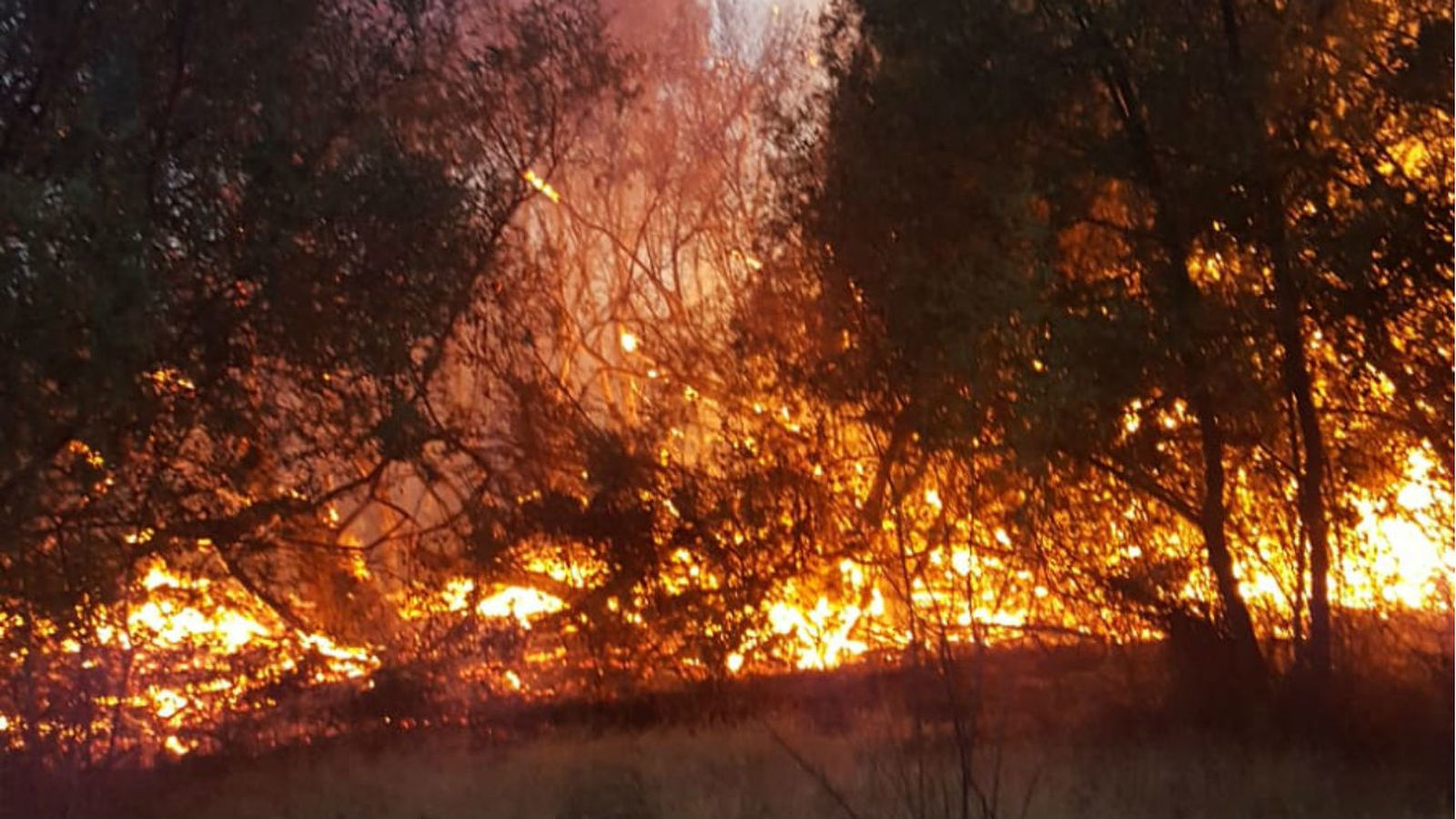 Incendio forestal en Brunete