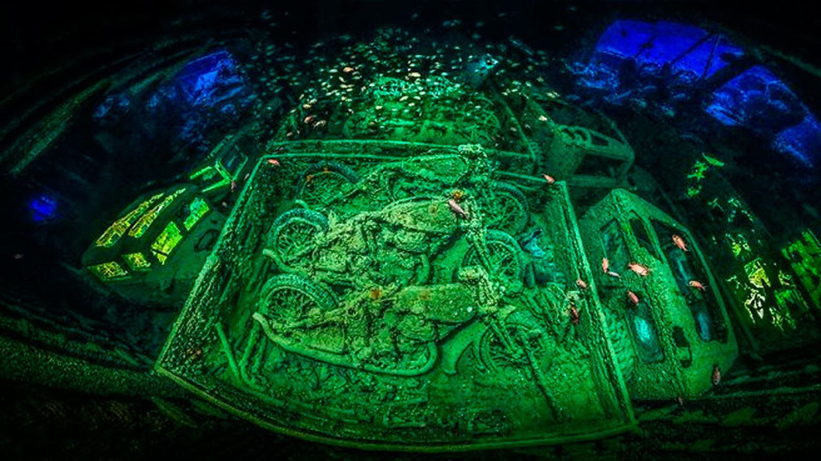 La fotografía "Cycle War", obra del fotógrafo alemán Tobias Friedrich, ganadora de la edición 2018 del Underwater Photographer