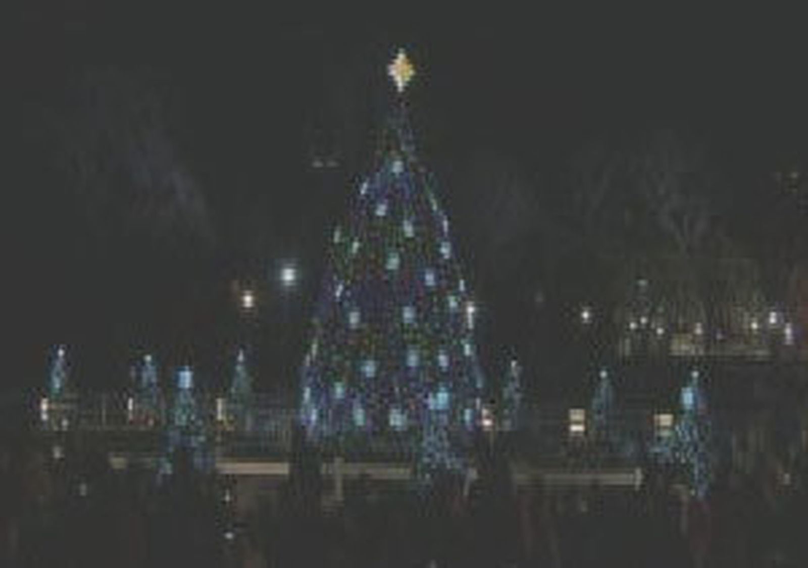 Árbol
