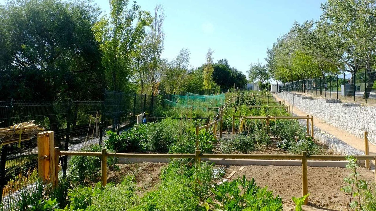 Alcobendas creará 80 nuevos huertos urbanos